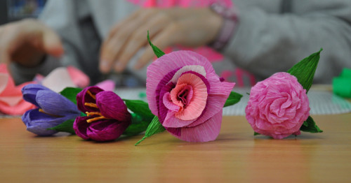 1200x628_kwiaty-z-biuly--dorosli.jpg