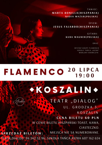flamenco.jpg
