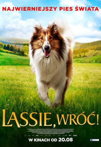 KMW 16.10 Lassie, wróć!.jpg