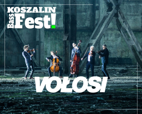 volosi.jpg